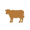 gold cow - 3